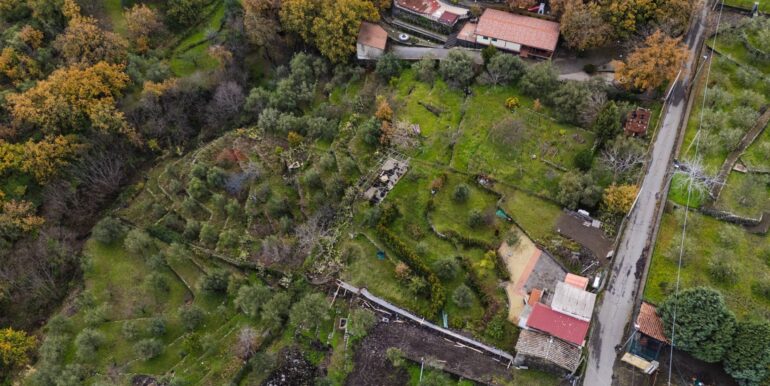 20260128224613-1020461-12