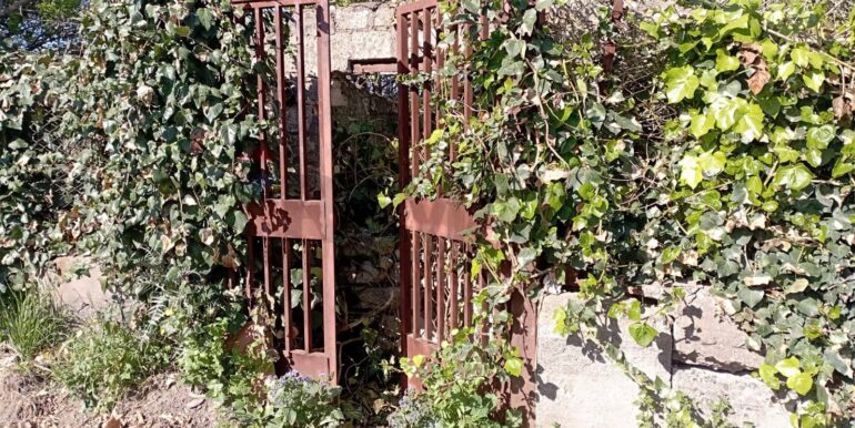 20260129100432-1020479-1