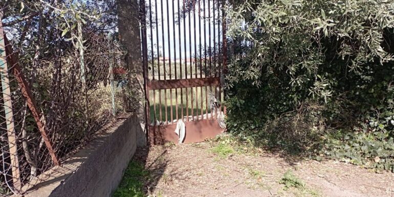 20260129100432-1020479-3