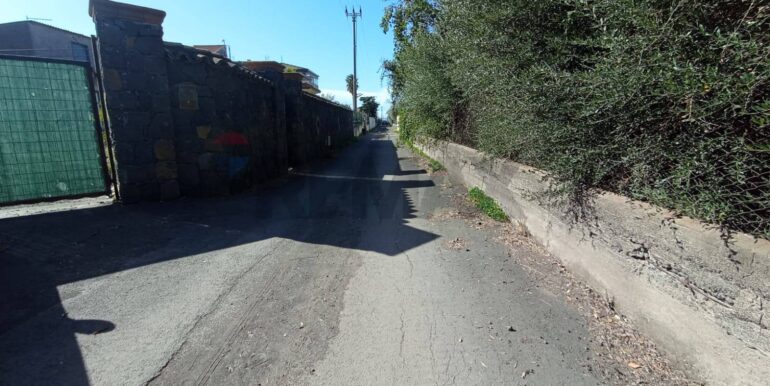 20260129100433-1020479-4