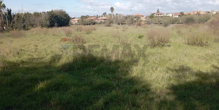 20260129100433-1020479-6