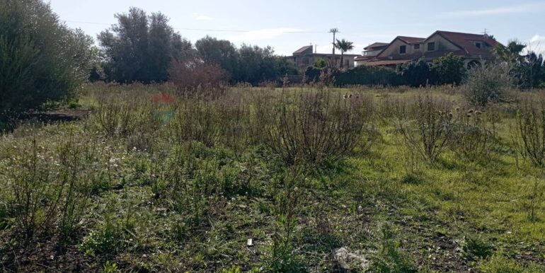 20260129100434-1020479-8