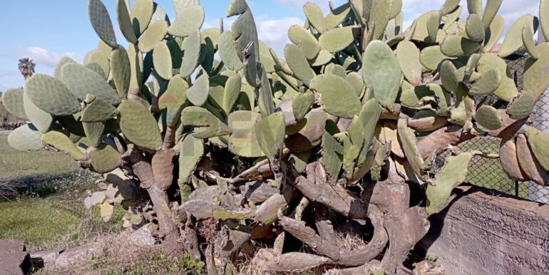 20260129100434-1020479-9