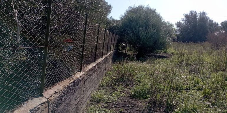 20260129100435-1020479-10