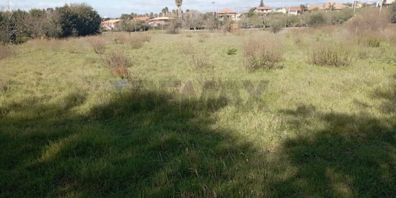 20260129100435-1020479-11