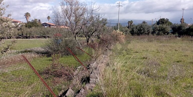 20260129100435-1020479-12