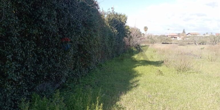 20260129100436-1020479-14