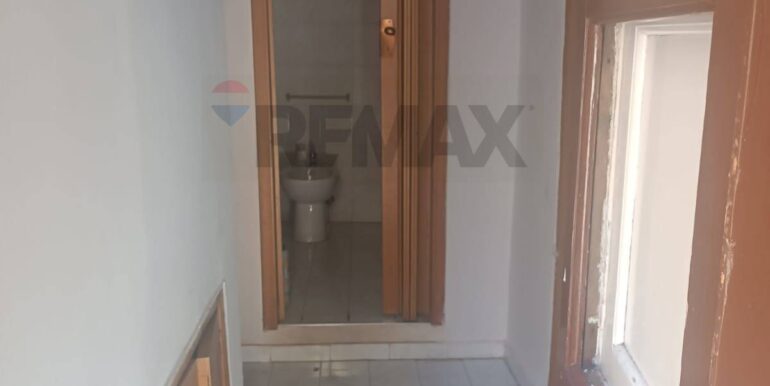 20260129105559-1020495-3