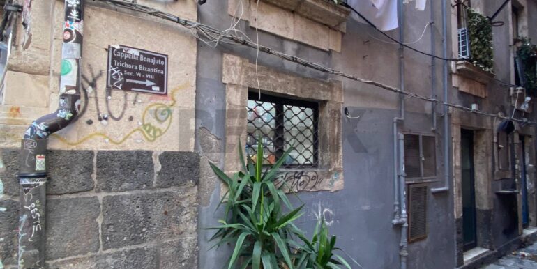 20260129111411-1020503-1