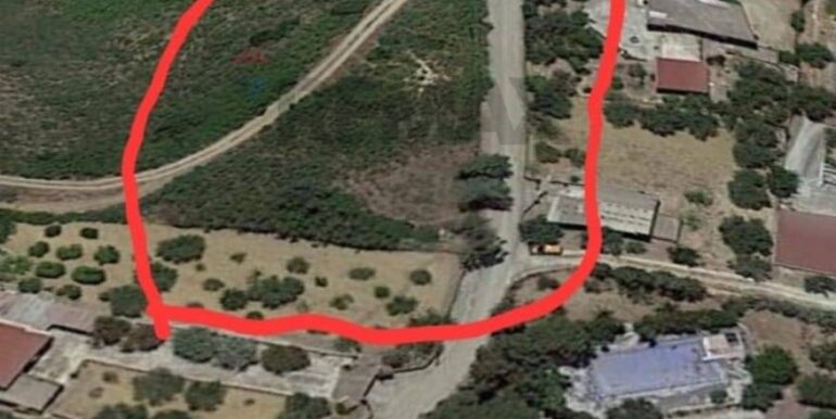 20260129112059-1020507-4