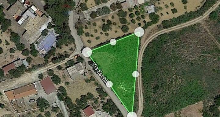 20260129112059-1020507-5