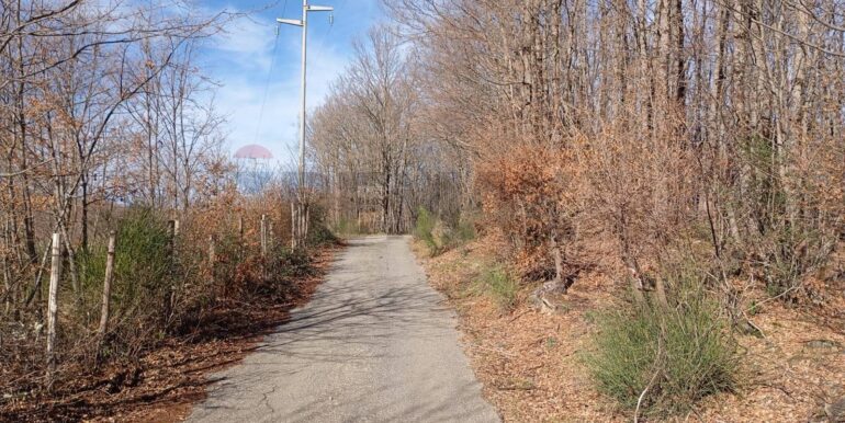 20250401120937-940110-1