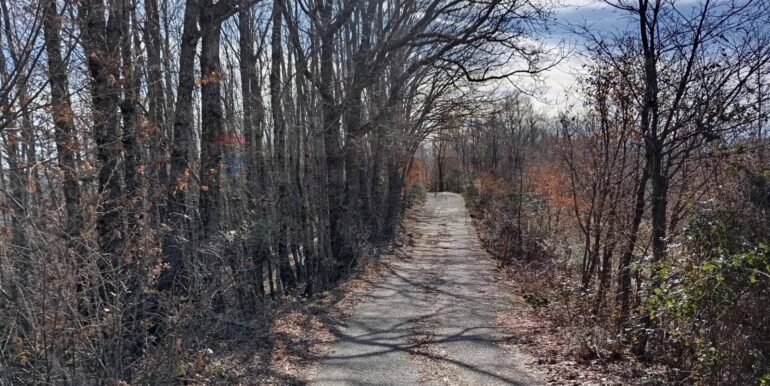 20250401120940-940110-2