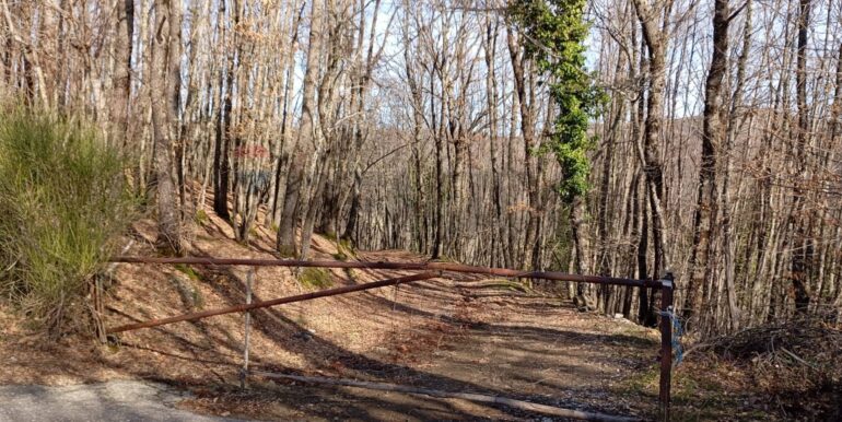 20250401120944-940110-3