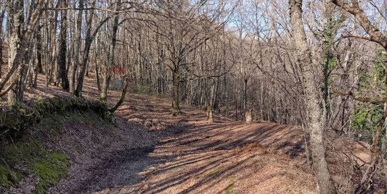 20250401120949-940110-4