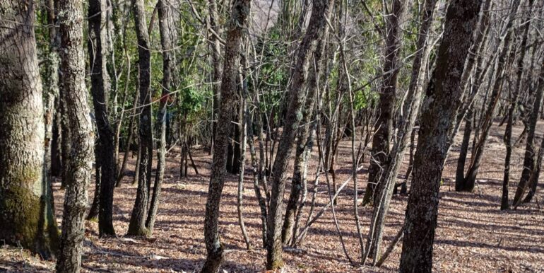 20250401120953-940110-5