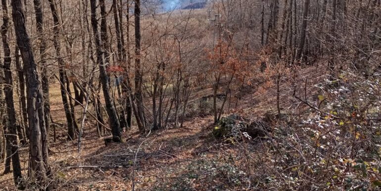 20250401120958-940110-6