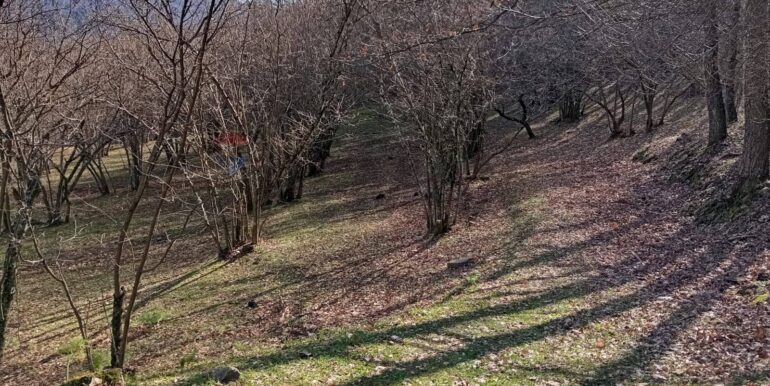 20250401121001-940110-7