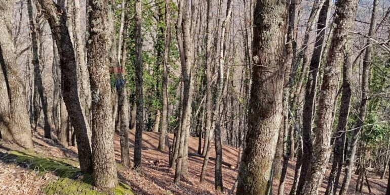 20250401121004-940110-8