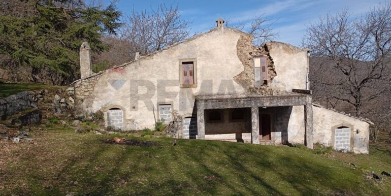 20250401121007-940110-9