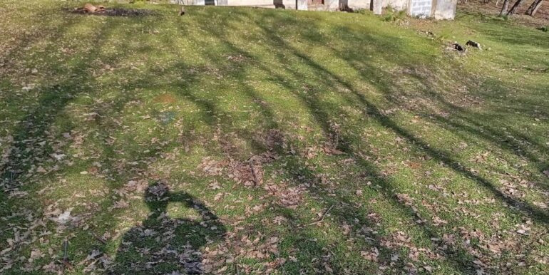 20250401121013-940110-11