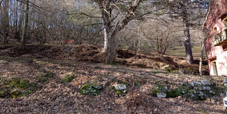 20250401121016-940110-12