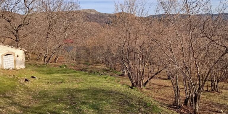 20250401121020-940110-13