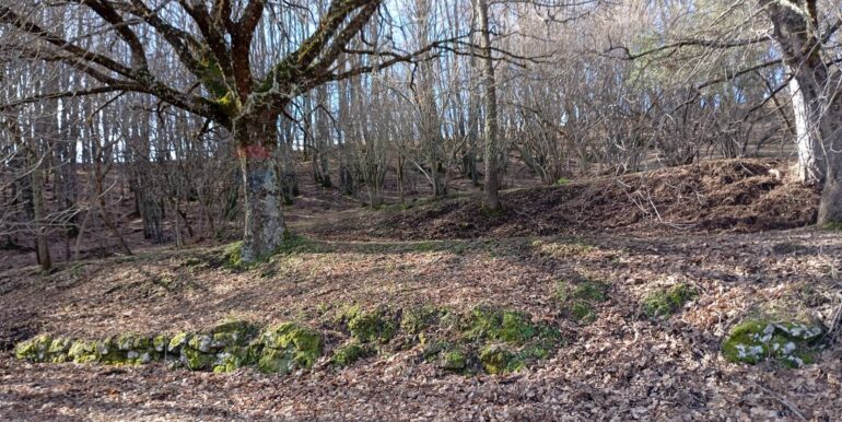 20250401121026-940110-15