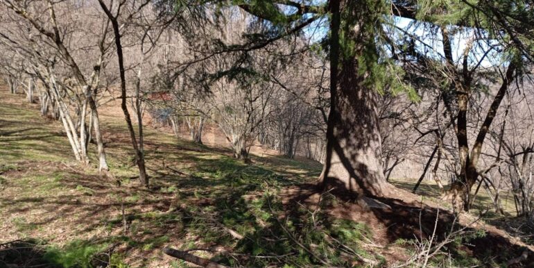 20250401121033-940110-17