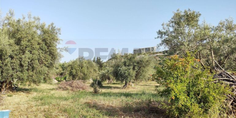 20250912153258-982667-4