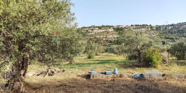 20250912153259-982667-6