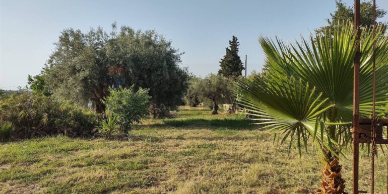 20250912153301-982667-11