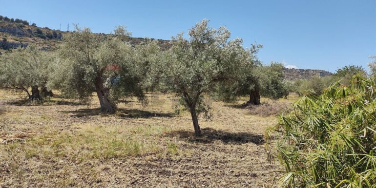 20250912153302-982667-13