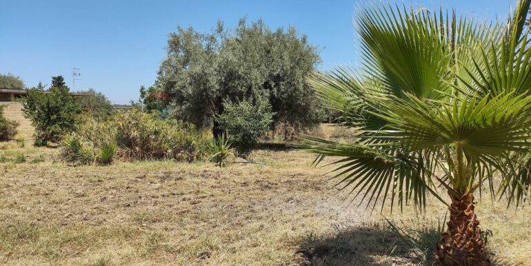 20250912153302-982667-14