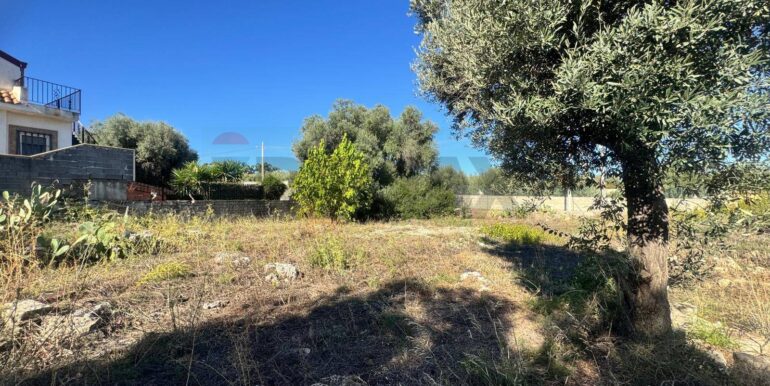 20251210121920-1008624-5