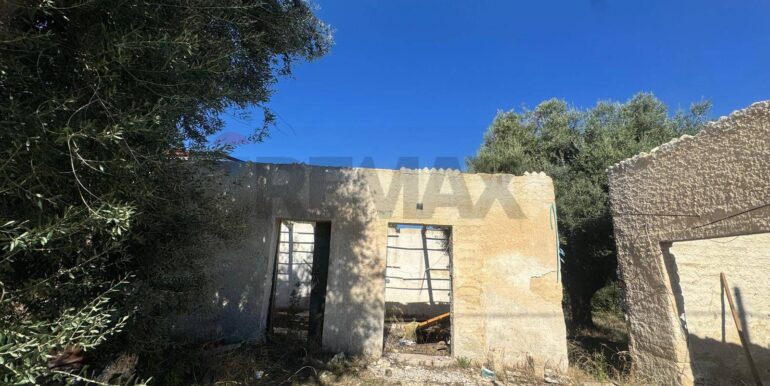 20251210121926-1008624-7