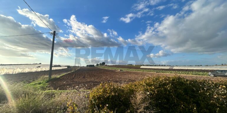 20260112181503-1016164-3