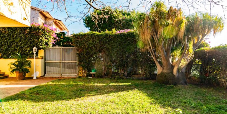 20260119185911-1018495-13