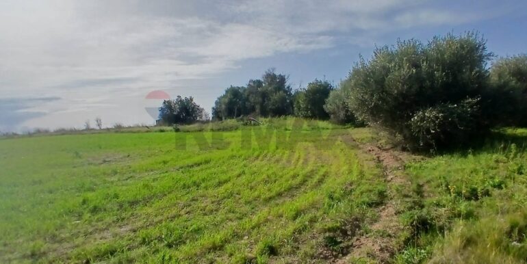 20260124104214-1019540-2