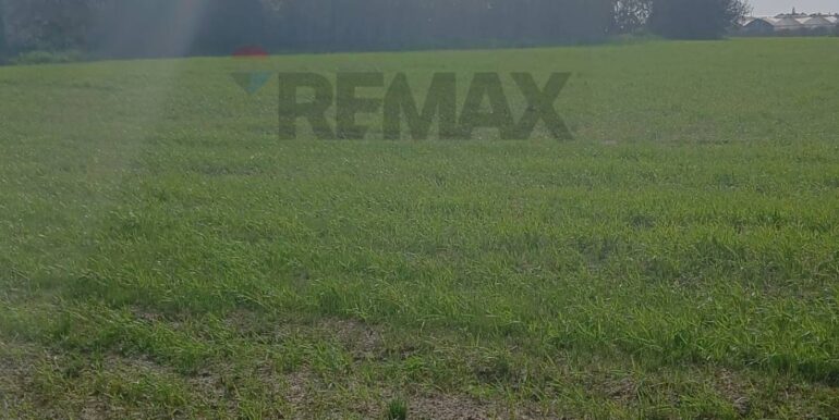 20260124104222-1019540-4