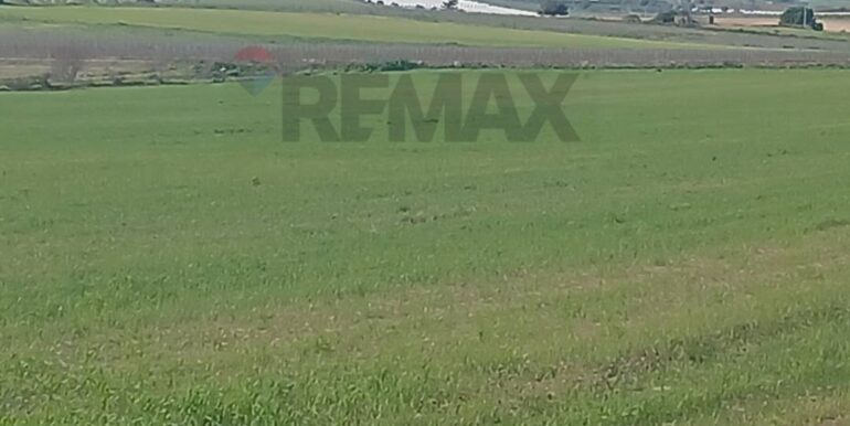 20260124104226-1019540-5