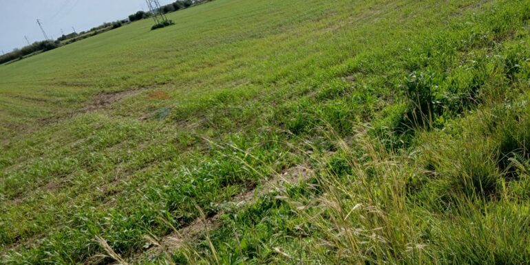 20260124104230-1019540-6