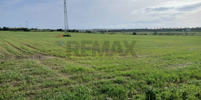 20260124104234-1019540-7