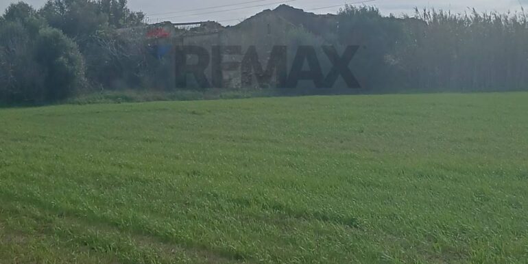 20260124104238-1019540-8