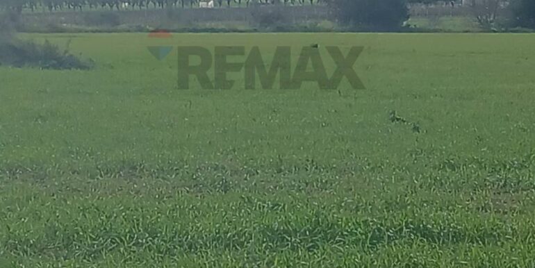 20260124104242-1019540-9