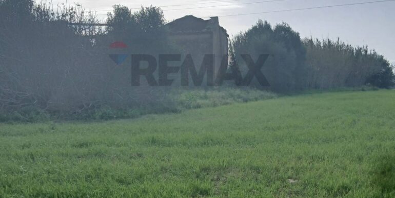 20260124104245-1019540-10