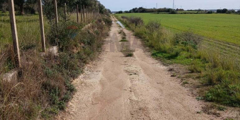 20260124104253-1019540-12