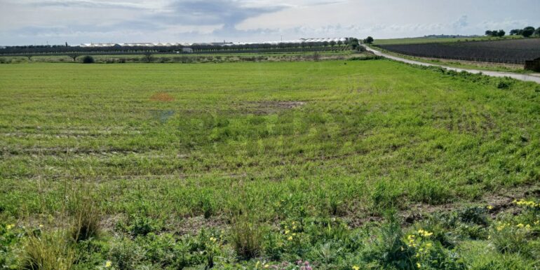 20260124104257-1019540-13