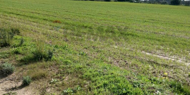 20260124104311-1019540-16