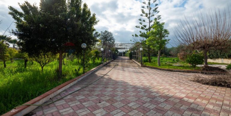 20260126121946-990889-19